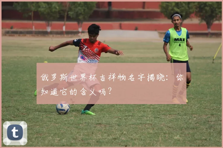 俄罗斯世界杯吉祥物名字揭晓：你知道它的含义吗？
