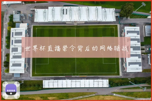 世界杯直播禁令背后的网络暗战