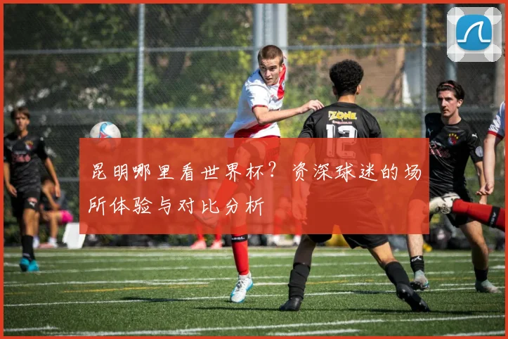 昆明哪里看世界杯？资深球迷的场所体验与对比分析