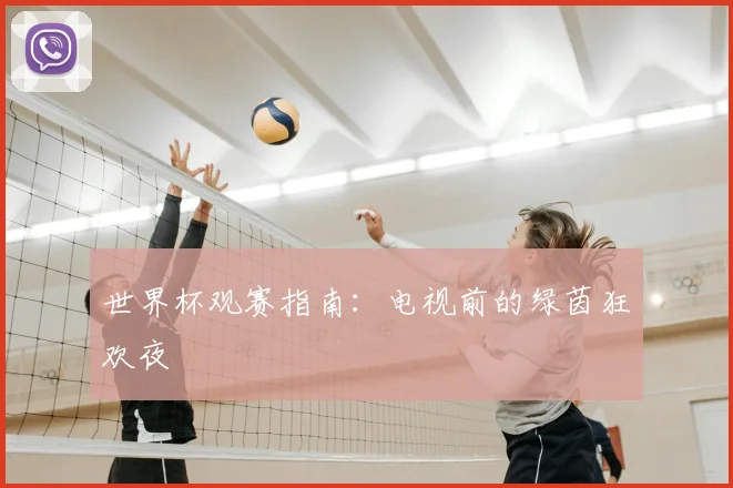 世界杯观赛指南:电视前的绿茵狂欢夜