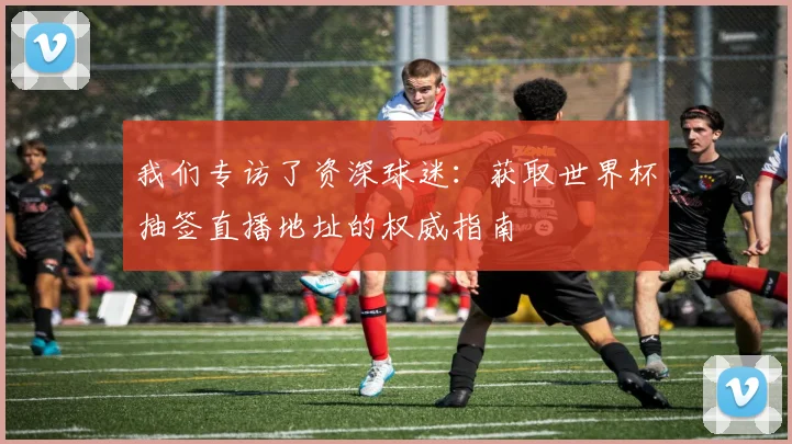 我们专访了资深球迷：获取世界杯抽签直播地址的权威指南