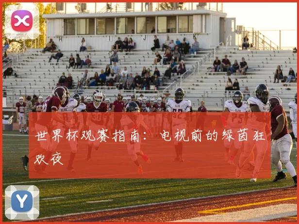世界杯观赛指南：电视前的绿茵狂欢夜