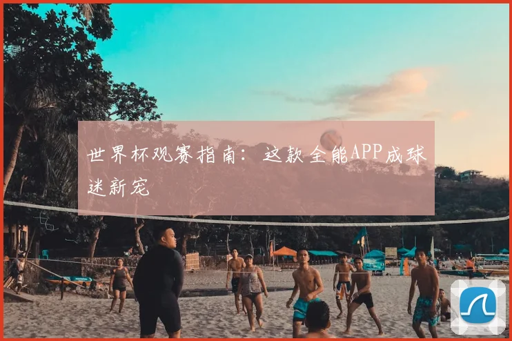 世界杯观赛指南:这款全能APP成球迷新宠