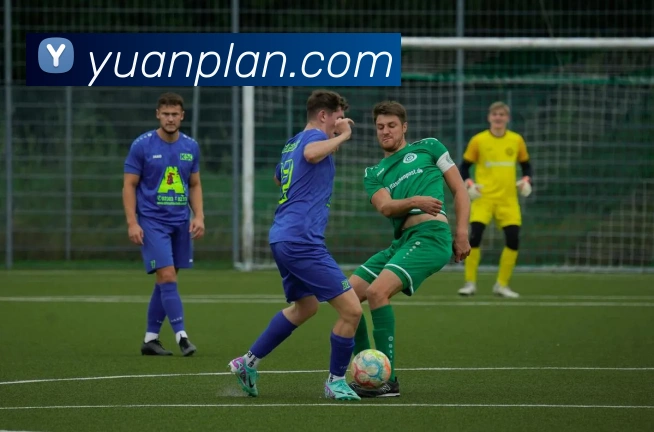 开云手机网页入口APP 封面图